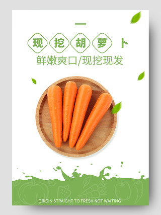 绿色简约风现挖胡萝卜蔬菜生鲜胡萝卜详情页